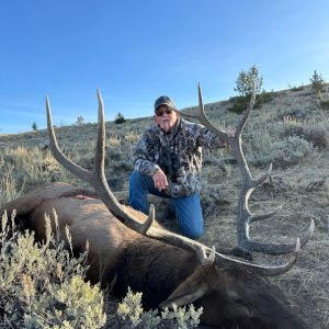Sns Bull Elk Hunt Wyoming 10